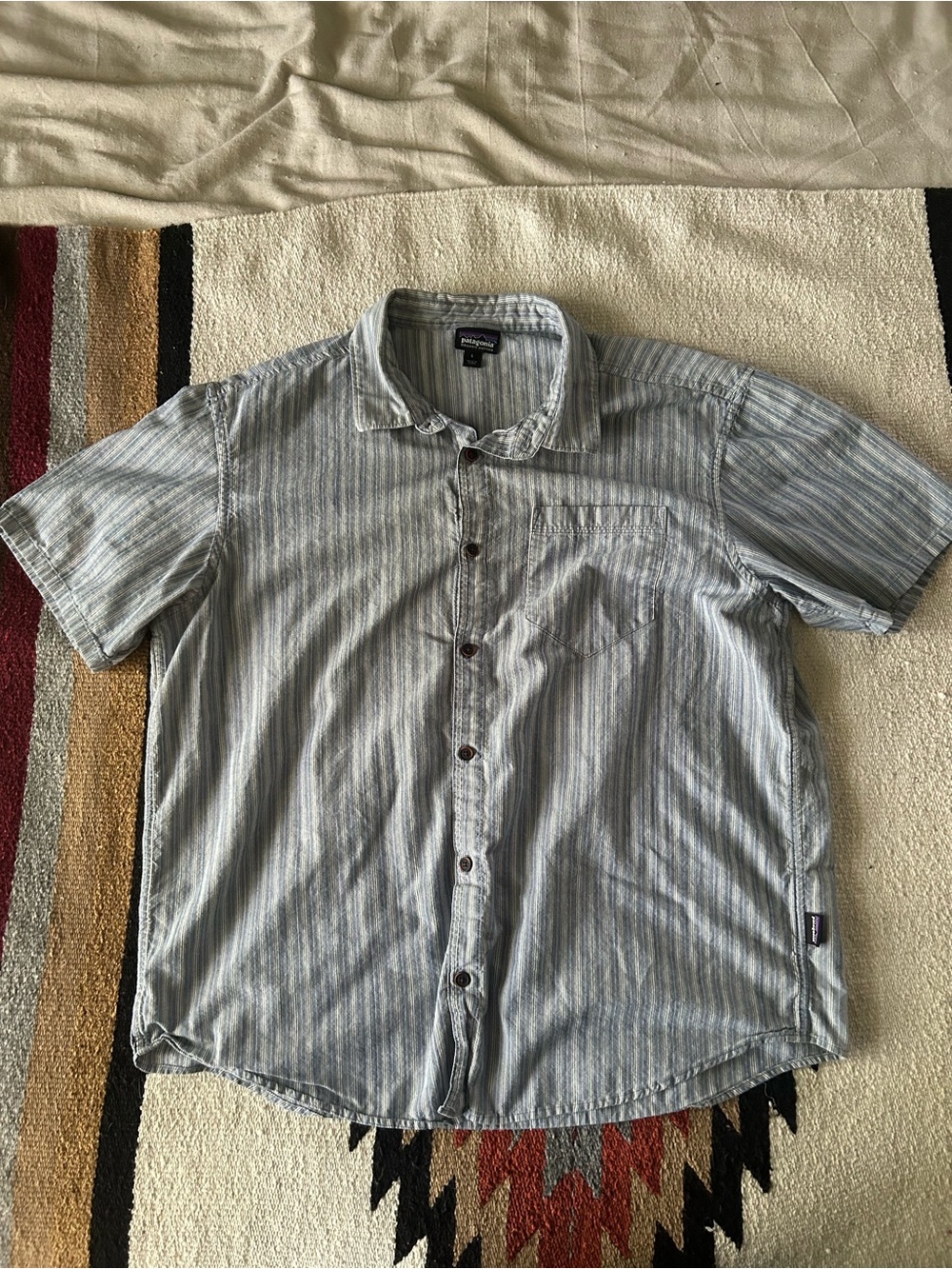 Patagonia Men’s Light Blue Striped Short-Sleeve Button-Down Shirt